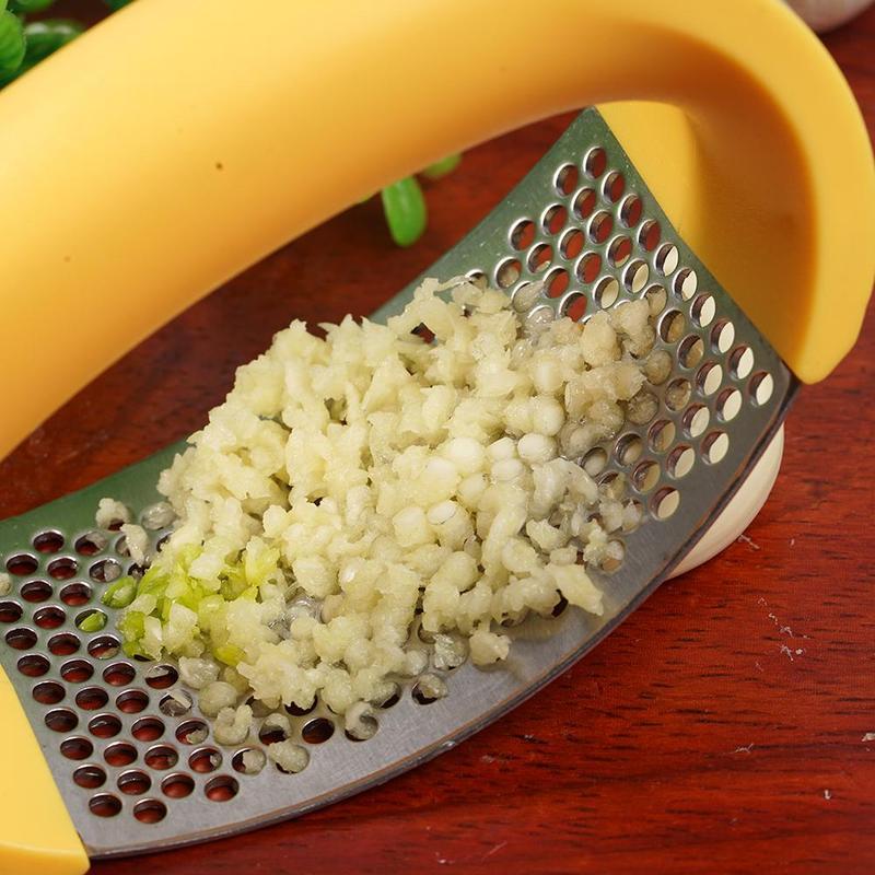 Stainless Steel Garlic Press Masher