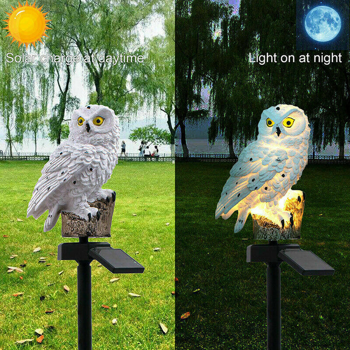 Solar Power LED Owl Parrot Lawn Light